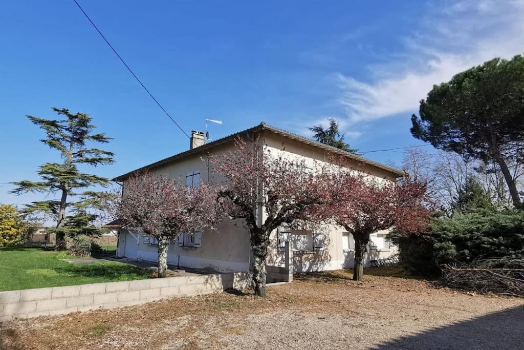 Maison Gaillacoise