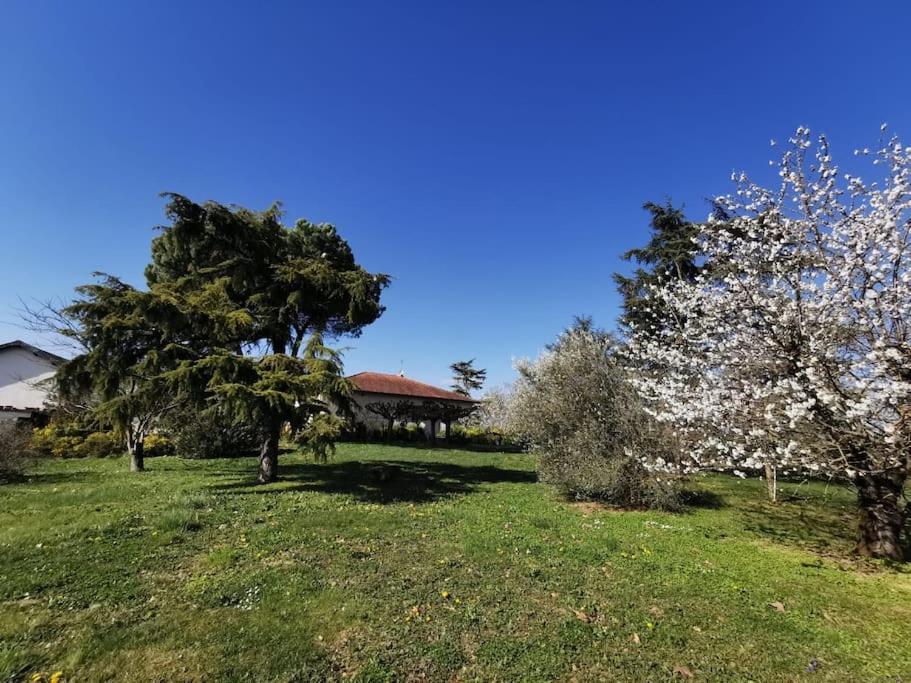 Maison Gaillacoise Сasa de vacaciones